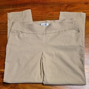 Jones Studio Beige Stretch Pants